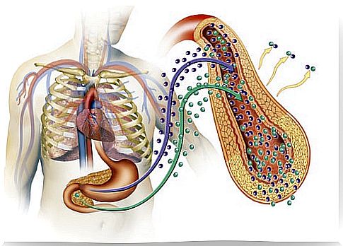 diabetes in the human body