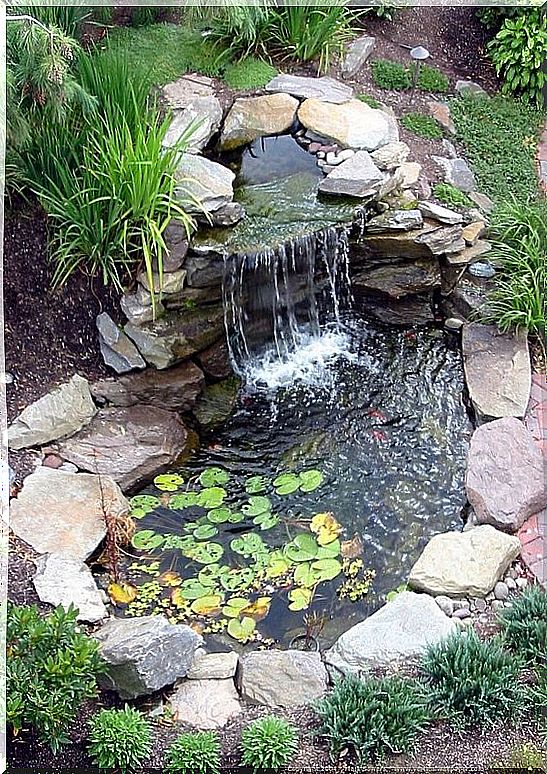 Pond idea number 1