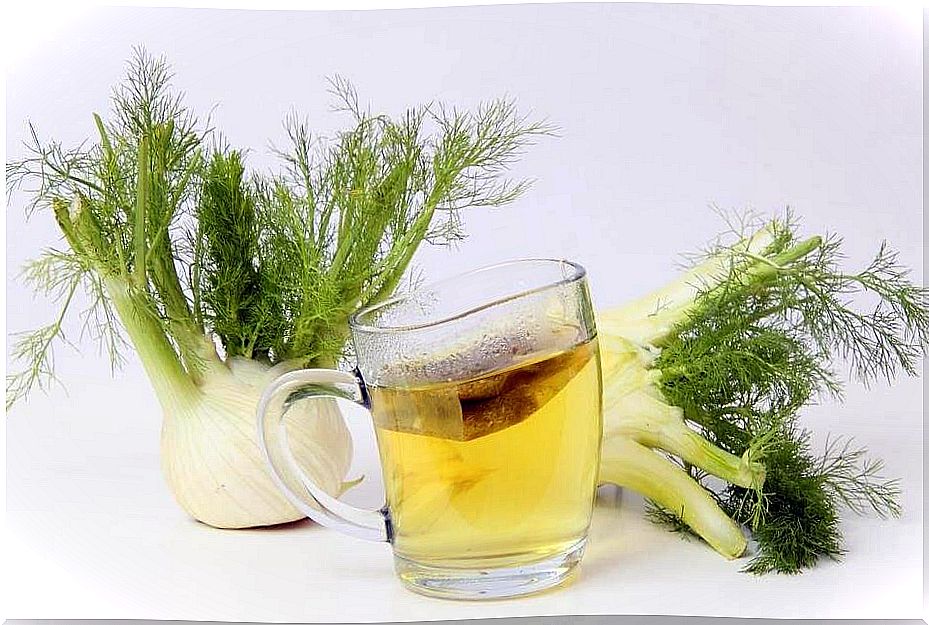 Fennel for stomach gas relief