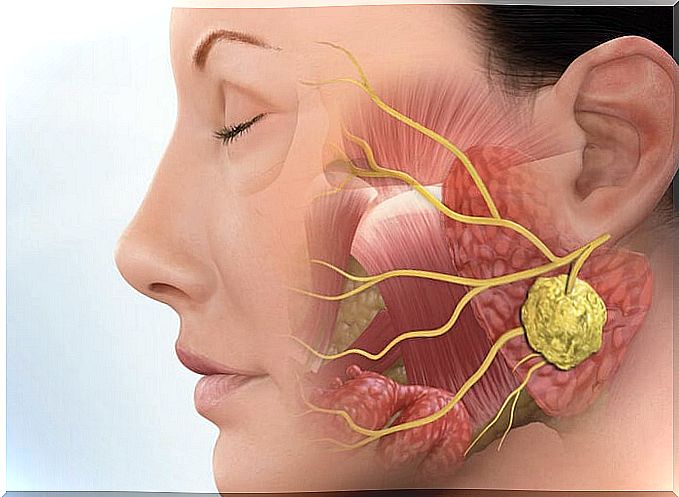 Salivary Gland Calculus Diagnosis