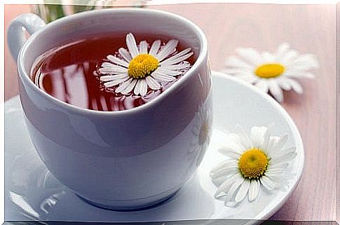 Chamomile-Infusion