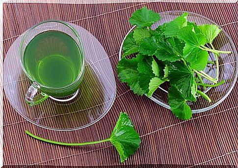 Parsley-and-cloves-rinse