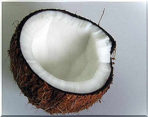 coconut