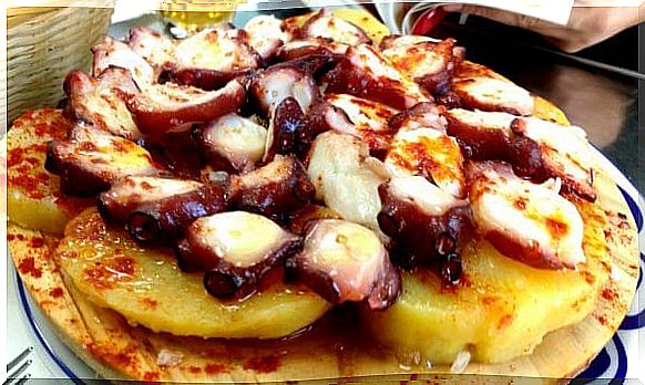 Galician octopus