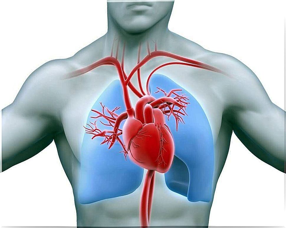 Causes of heart murmur.