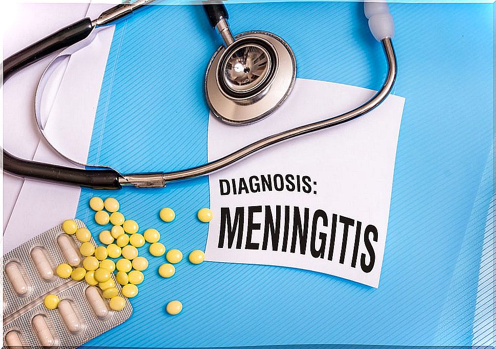 types of meningitis