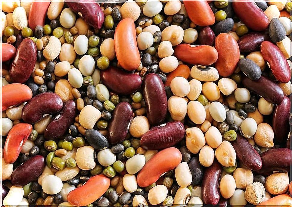 Legumes can cause digestive disorders