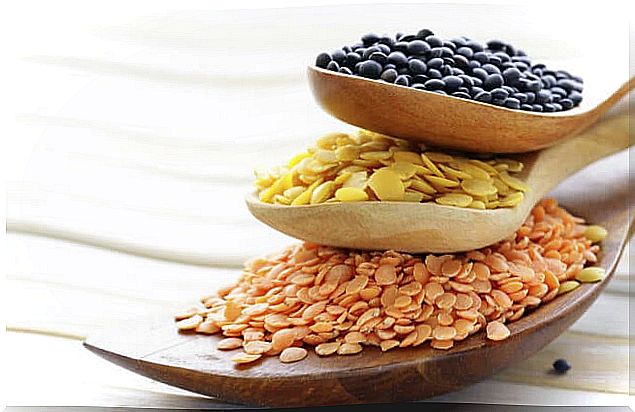 Cereal seeds in stacked wooden spoons