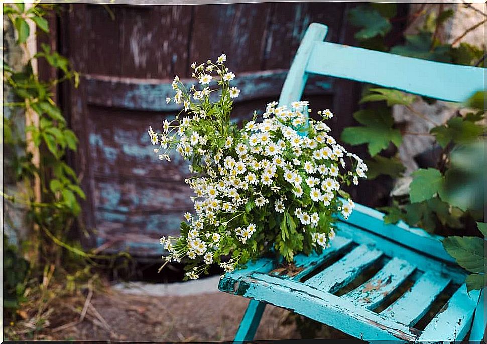 Blue wooden chair with flowers.