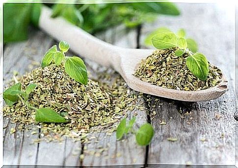 Oregano