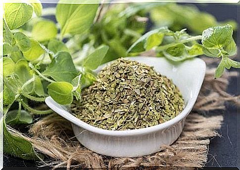 Oregano