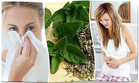 Oregano benefits